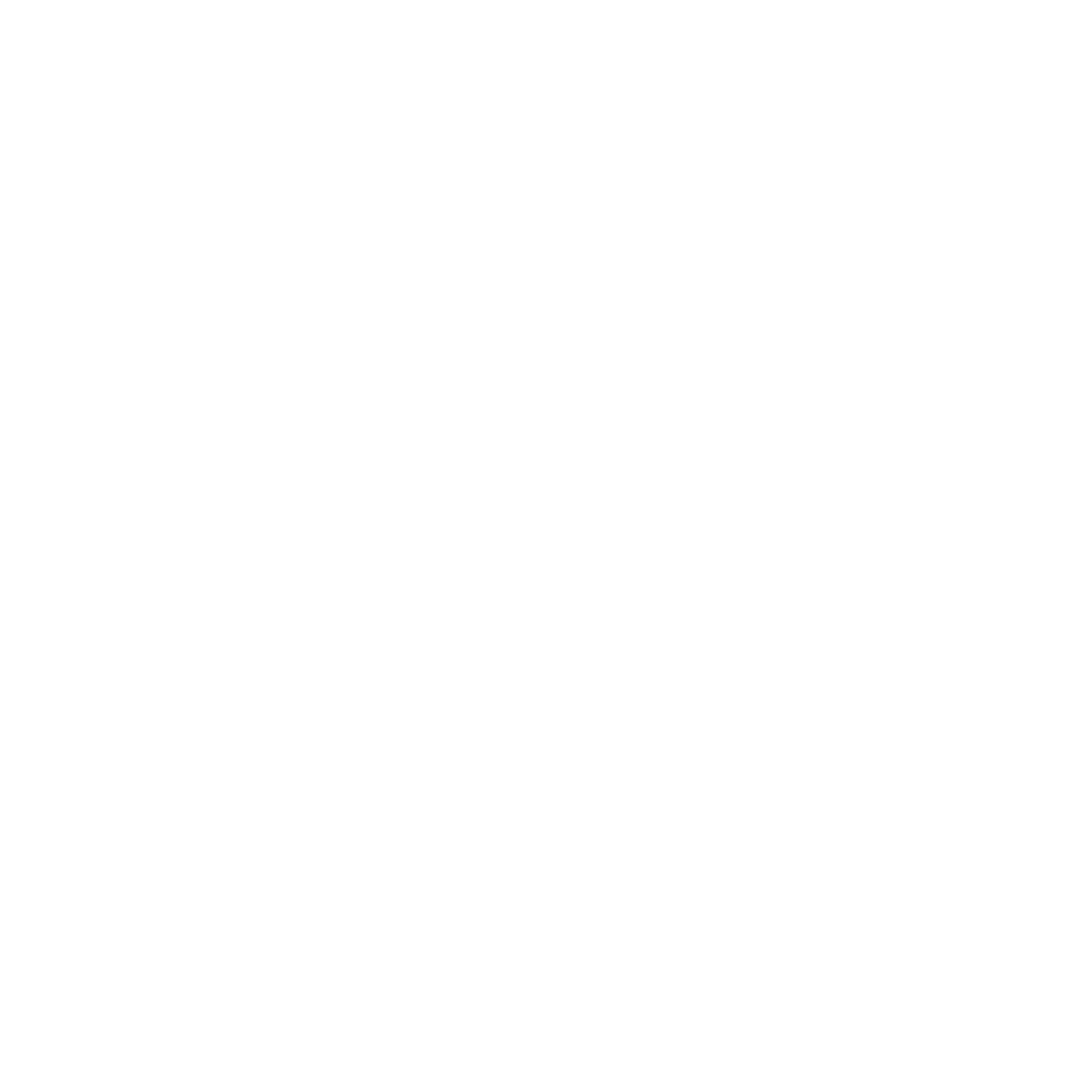 v logo